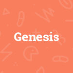 Genesis – Meine Erfahrungen mit dem WordPress-Framework